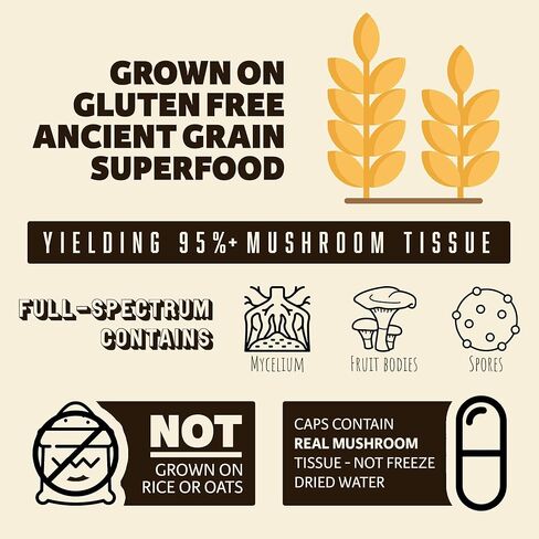 كبسولات فطر الاسد العضوي من برين فورزا، دعم طبيعي للصفاء الذهني والتركيز والذاكرة والاعصاب والصحة المعرفية، غير معدلة وراثيا، نباتية، عضوية، 90 كبسولة in Kuwait