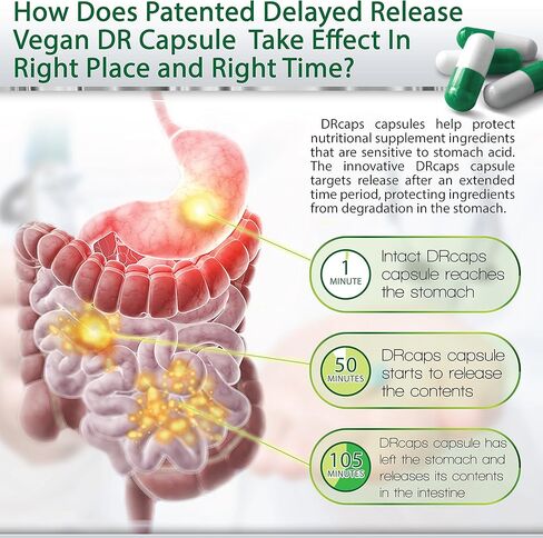 البروبيوتيك 50 مليار مع البريبايوتكس - للنساء والرجال، 18 سلالة حاصلة على براءة اختراع، مكمل بروبيوتيك ثابت لتأخر الإطلاق لصحة الجهاز الهضمي، القولون العصبي والانتفاخ in Kuwait