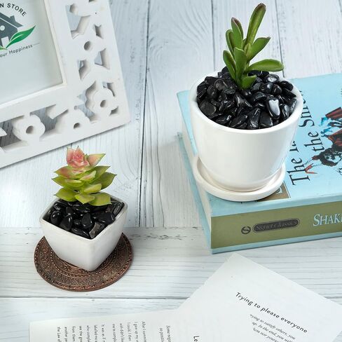 Crocon 1/2 LB Crushed Pink Opal Chips Bulk Stones 1100+ Carats Natural Quartz Pieces Irregular Shape Gemstones for House Warming Gifts New Home and Chakra healing crystals Home Décor gifts for women in Kuwait