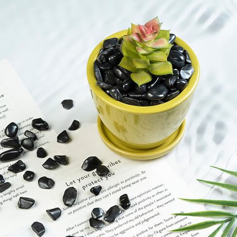 Crocon 1/2 LB Crushed Pink Opal Chips Bulk Stones 1100+ Carats Natural Quartz Pieces Irregular Shape Gemstones for House Warming Gifts New Home and Chakra healing crystals Home Décor gifts for women in Kuwait