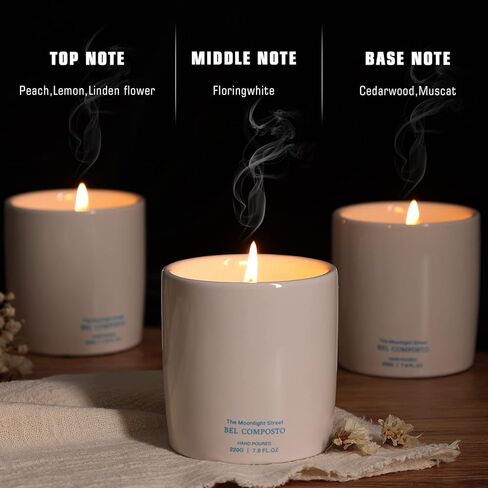 Bel Composto Candle, Fruit & Woody Scented Candle, Candles for Home Scented, Candles Gifts for Women, Soy Wax, 7.8 Oz 45 Hour Burn, Aromatherapy Candle, Scented Candles for Men, Ceramic Jar Candles in Saudi Arabia