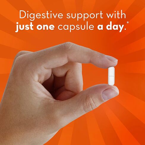 Align Probiotic، بروبيوتيك للنساء والرجال، مكمل بروبيوتيك يومي لصحة الجهاز الهضمي*، البروبيوتيك رقم 1 الموصى به من قبل الأطباء وأطباء الجهاز الهضمي‡، 14 كبسولة in Kuwait
