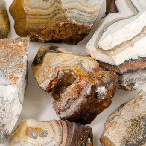 معادن كريستالات بيفرلي أوكس - طبيعية خام خشنة للكابينة، القطع، الجواهري، الريكي، الهبوط، التلميع، التأمل، الشبكة، ديكور المنزل - حجم 1 رطل (العقيق الدانتيل المجنون) in Kuwait