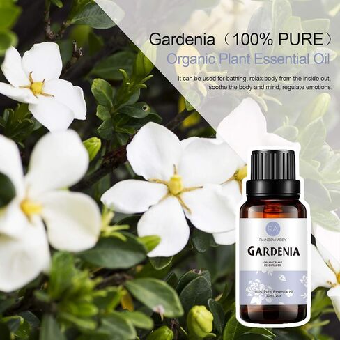 زيت هينوكي العطري (30 مل)، زيت هينوكي طبيعي نقي 100% للعلاج بالروائح العطرية، للتدليك، والعناية بالبشرة، واليوجا، والنوم in Kuwait