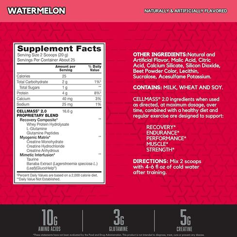 BSN كريم سيلماس 2.0 للتعافي بعد التمرين مع بي سي ايه ايه والكرياتين والجلوتامين - صديق للكيتو - بطيخي، (25 حصة) in Kuwait