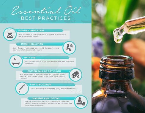 Rose Essence Oil, 100% Pure Rose Absolute Oil for Diffuser, Rose Essential Oil for Relaxation, Rosa Oil, Premium Quality, 10ml 0.33 fl oz in Kuwait