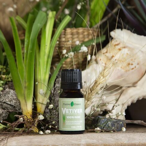 Rose Essence Oil, 100% Pure Rose Absolute Oil for Diffuser, Rose Essential Oil for Relaxation, Rosa Oil, Premium Quality, 10ml 0.33 fl oz in Kuwait