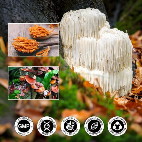 Alliwise Lions Mane Mushroom Drops Liquid, Mushroom Supplement with Reishi & Cordyceps Sinensis for Promotes Mental Clarity, Focus and Memory, Immune Support, Non-GMO, Vegan, 1 Month Supply in Kuwait