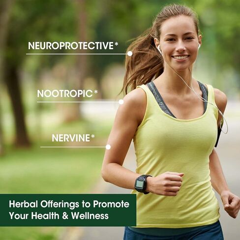 Alliwise Lions Mane Mushroom Drops Liquid, Mushroom Supplement with Reishi & Cordyceps Sinensis for Promotes Mental Clarity, Focus and Memory, Immune Support, Non-GMO, Vegan, 1 Month Supply in Kuwait