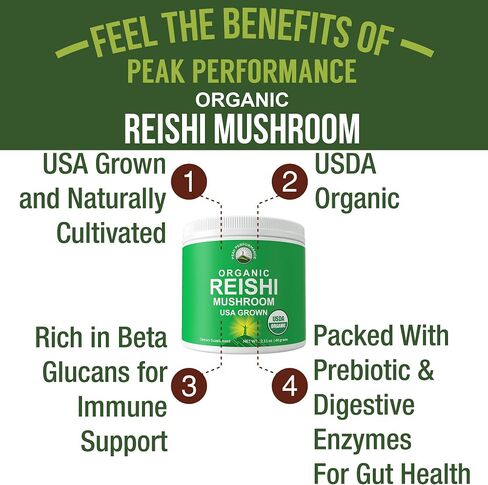 Organic Reishi Mushroom Powder - USA Grown Made With Organic Reishi Mushrooms. Vegan Supplement for Immunity Support. Naturally Harvested, Adaptogenic, Immune Support, Extract Blend Powders in Saudi Arabia
