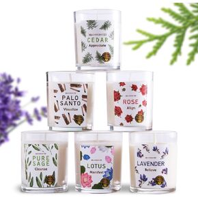 Magnificent 101 GIFT KIT Set of 6 Candles