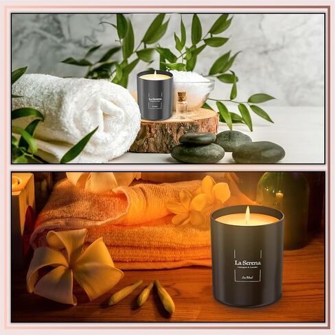 Premium Jasmine Scented Candles (Joie de Vivre), Natural Soy Candles Gifts for Women & Men, Hand Poured, Long Lasting Aromatherapy Essential Oil Candle, 8 Oz with 45 Hour Burn Time in Kuwait
