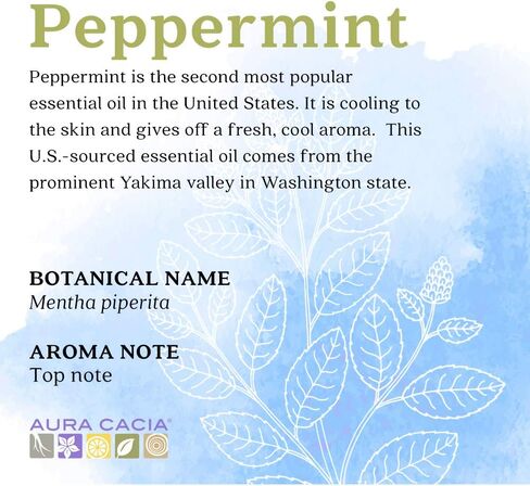 Aura Cacia 100% Pure Peppermint Essential Oil, 100% Pure Therapeutic Grade, 15 ml in Box, Mentha piperita in Saudi Arabia