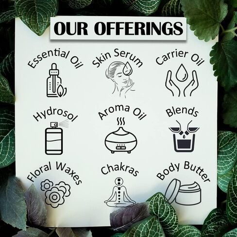 ديف هيربس زيت عطري بيور ميليسا (ميليسا أوفيسيناليس) مقطر بالبخار 30 مل (1 اونصة) in Kuwait