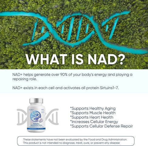 360 كبسولة من Zenlifer - NAD+ 1000 مجم مكمل تعزيز ريسفيراترول - أكثر كفاءة من NMN - نيكوتيناميد ريبوسيد لاستقلاب الطاقة الخلوية وإصلاحها والحيوية والشيخوخة الصحية in Kuwait