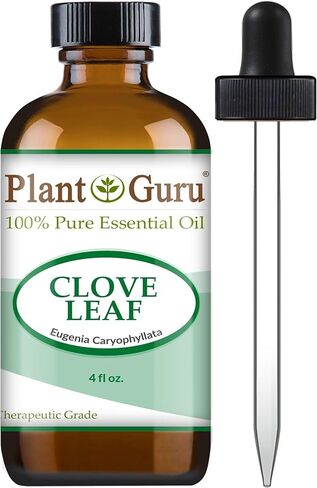 Plant Guru Cinnamon Cassia Essential Oil 4 oz 100% Pure Undiluted Therapeutic Grade in Kuwait