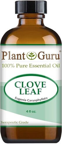 Plant Guru Cinnamon Cassia Essential Oil 4 oz 100% Pure Undiluted Therapeutic Grade in Kuwait
