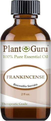 Plant Guru Cinnamon Cassia Essential Oil 4 oz 100% Pure Undiluted Therapeutic Grade in Kuwait