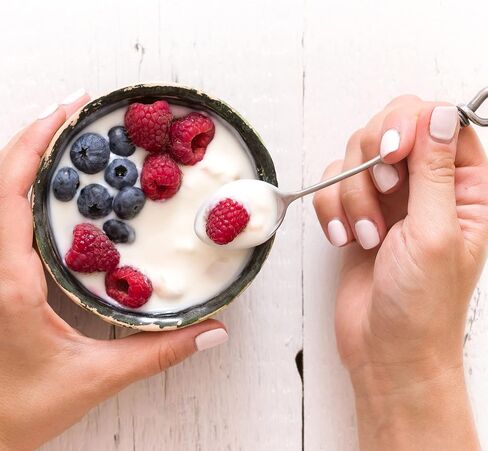 VIVO Probiotic Yogurt Starter/Natural (5 Boxes. 10 Bottles) Makes up to 30 quarts of Yogurt. in Saudi Arabia