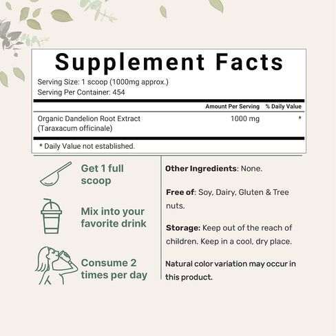 Micro Ingredients Sustainably US Grown, Organic Dandelion Root Tea Powder, Pure Dandelion Supplement, 1 Pound (16 Ounce, 1 Year Supply) in Saudi Arabia