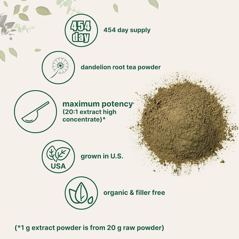 Micro Ingredients Sustainably US Grown, Organic Dandelion Root Tea Powder, Pure Dandelion Supplement, 1 Pound (16 Ounce, 1 Year Supply) in Saudi Arabia