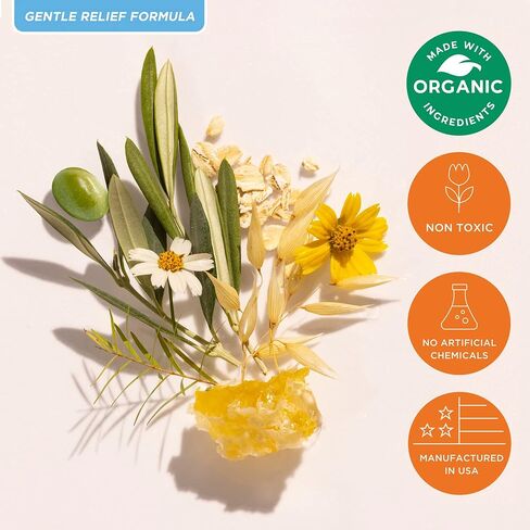 تركيبة فيميكلير اللطيفة لعلاج العدوى لمدة يومين، تركيبة لطيفة للأفراد الأكثر حساسية، مرهم بمكونات طبيعية بالكامل + مرهم خارجي لتخفيف الحكة، منتجات العناية الأنثوية in Kuwait