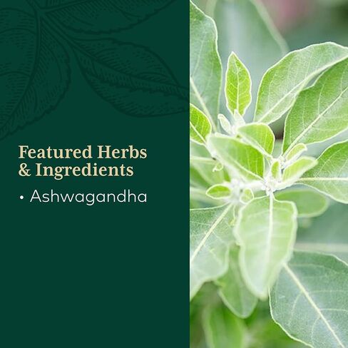 Gaia PRO Ashwagandha 700 - مكمل عشبي لتخفيف التوتر والتوتر - دعم النوم - مع مستخلص جذر وجذور أشواغاندا العضوية - 120 كبسولة نباتية سائلة (60 حصة) in Saudi Arabia