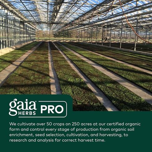 Gaia PRO Ashwagandha 700 - مكمل عشبي لتخفيف التوتر والتوتر - دعم النوم - مع مستخلص جذر وجذور أشواغاندا العضوية - 120 كبسولة نباتية سائلة (60 حصة) in Saudi Arabia