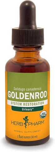 Herb Pharm Certified Organic Goldenrod Liquid Extract for Urinary System Support, 1 Fl Oz (Pack of 1) in Saudi Arabia