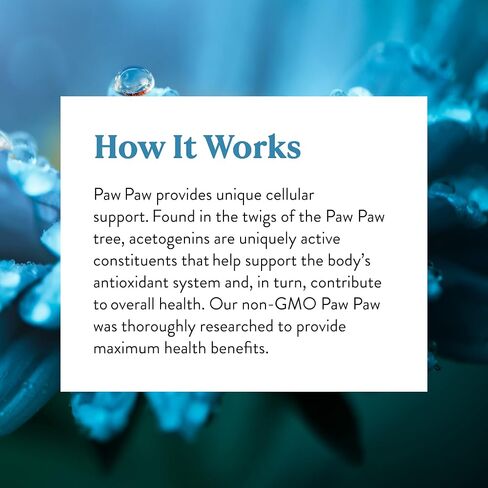 Nature's Sunshine Paw Cell-Reg، 180 كبسولة | يحتوي على أكثر من 50 أسيتوجينين لتعديل إنتاج ATP وإمدادات الدم in Saudi Arabia