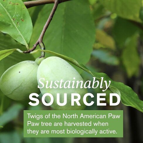 Nature's Sunshine Paw Cell-Reg، 180 كبسولة | يحتوي على أكثر من 50 أسيتوجينين لتعديل إنتاج ATP وإمدادات الدم in Saudi Arabia