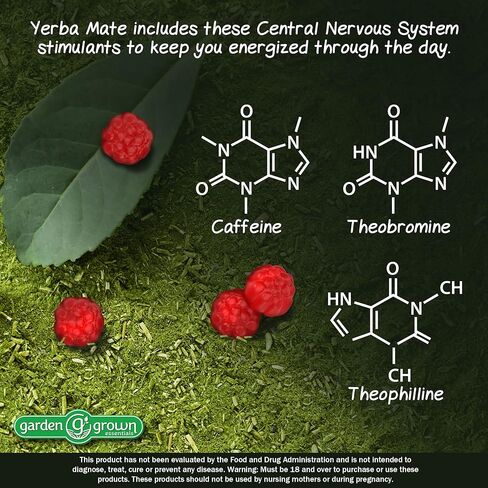 Yerba Mate Gummies 60,000 MG High Potency - Tastier, More Effective Way for Yerba Mate Benefits - All Natural Energy, Power, Focus and Clarity Boosting Supplement - Made in The USA 60 Count in Kuwait