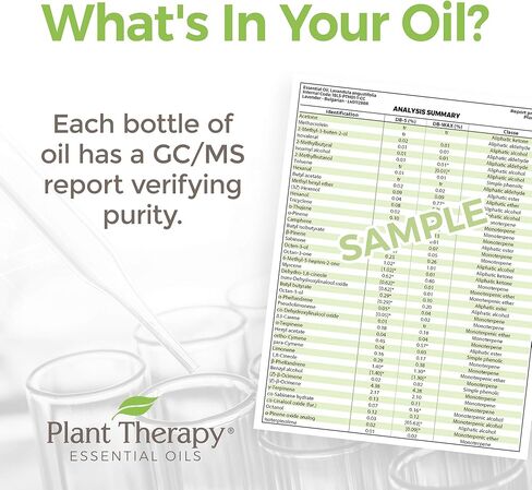 Plant Therapy Aged Dark Patchouli 10 mL (1/3 oz) 100% Pure, Undiluted, Natural Aromatherapy in Saudi Arabia