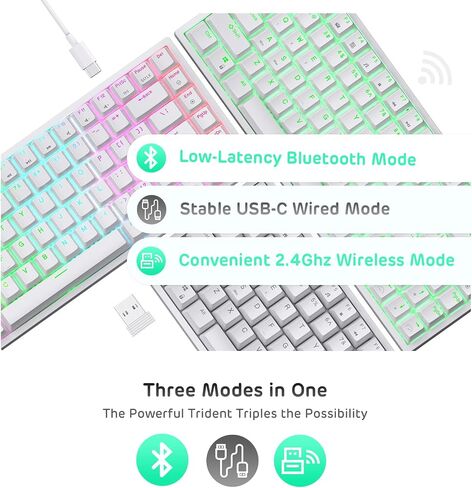 RK ROYAL KLUDGE RK84 Wireless RGB 75% وضع ثلاثي BT5.0/2.4G/USB-C لوحة مفاتيح ميكانيكية قابلة للتبديل السريع، لوحة مفاتيح ألعاب بلوتوث 84 مفتاحًا مع بطارية عالية السعة، مفتاح أحمر هادئ in Kuwait