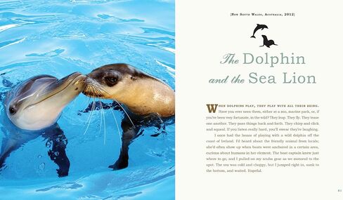Unlikely Loves: 43 Heartwarming True Stories from the Animal Kingdom (Unlikely Friendships) in Saudi Arabia