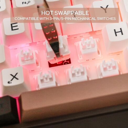 Feker IK65 VIA Programmable 2.4G/BT5.0/USB-C Mechanical Keyboard, 65% Hot Swappable Gasket-Mounted, with Sound Dampening Foams Kit, Volume-Control Knob, 4000mAh Battery, RGB for Win/Mac (Brown Knob) in Kuwait