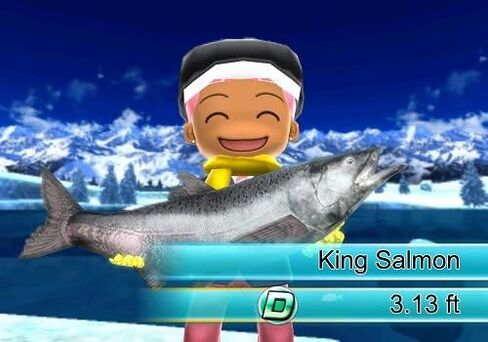 Fishing Resort - Nintendo Wii in Saudi Arabia