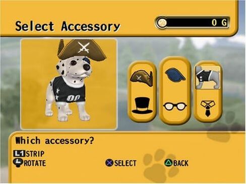 Petz Dogz 2 - نينتندو وي (تجديد) in Saudi Arabia