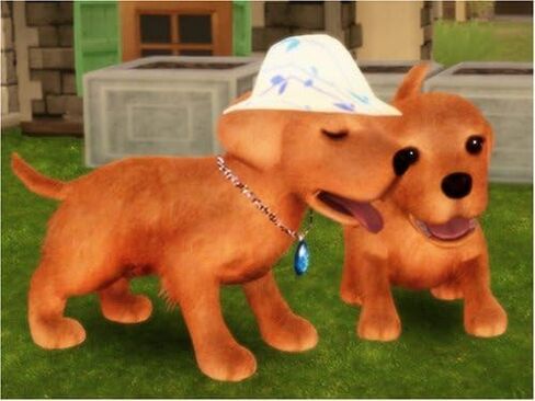 Petz Dogz 2 - نينتندو وي (تجديد) in Saudi Arabia
