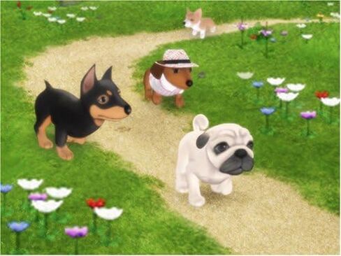 Petz Dogz 2 - نينتندو وي (تجديد) in Saudi Arabia