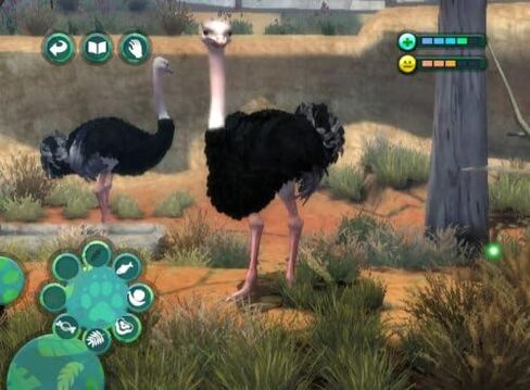 Zoo Hospital - Nintendo DS in Saudi Arabia
