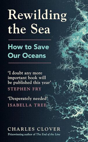 Rewilding the Sea in Saudi Arabia