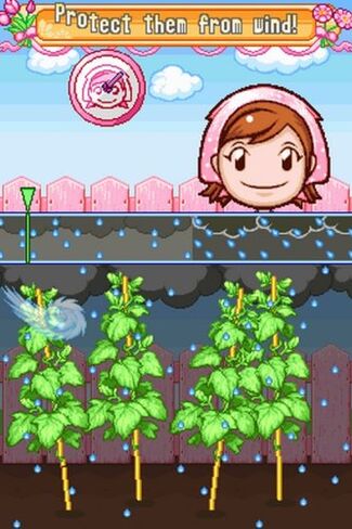 Gardening Mama - Nintendo DS in Saudi Arabia