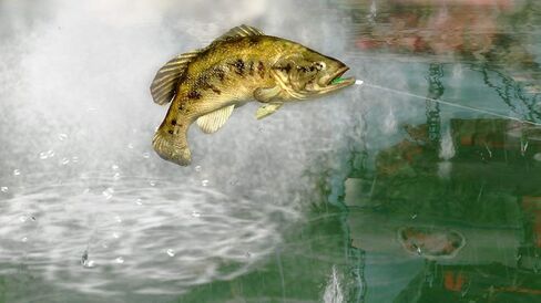 Rapala Pro Bass Fishing 2010 - بلاي ستيشن 3 (متجددة) in Saudi Arabia