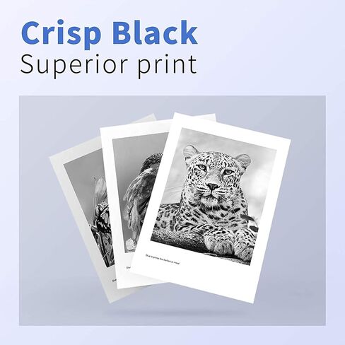 استبدال خرطوشة الحبر المتوافقة MYCARTRIDGE SUPRINT 141A W1410A لطابعة HP 141A W1410A باللون الأسود بدون شريحة لطابعة Laserjet M110w M110we MFP M139we MFP M140w MFP M140we in Kuwait