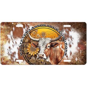 Vanity Aluminum Front License Plate (Pirate Ship)
