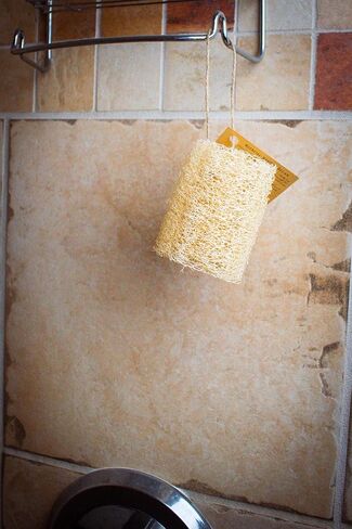 عبوة من 3 إسفنجات لوفا طبيعية ناعمة للجسم والوجه، ليفة استحمام وتقشير خفيف من شركة لاثيرد أرتيزان (3 قطع لوفا للوجه) in Kuwait