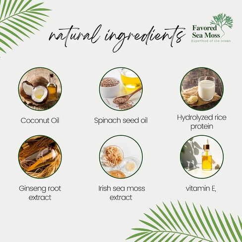 منظف ​​الوجه المرطب من طحالب البحر المفضل، غسول الوجه الرغوي، منظف الوجه للنساء والرجال، منظف مرطب من طحالب البحر، غسول الوجه، منتجات العناية ببشرة الوجه - 8 أونصة سائلة in Kuwait