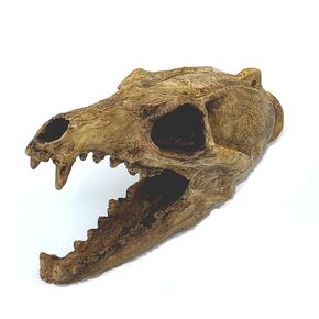 Aztec Death Whistle - Carnivore, loud screaming mayan aztec death whistle in Saudi Arabia