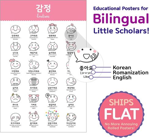 Korean Educational Posters, 11x17 (17 Posters) in Kuwait